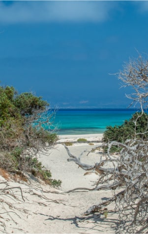 beach view